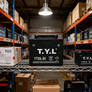 OEM ODM High Quality Motorcycle Battery TYL YTX5L-BS 12v 5AH Wet Charged MF Battery for Motorcycle Start